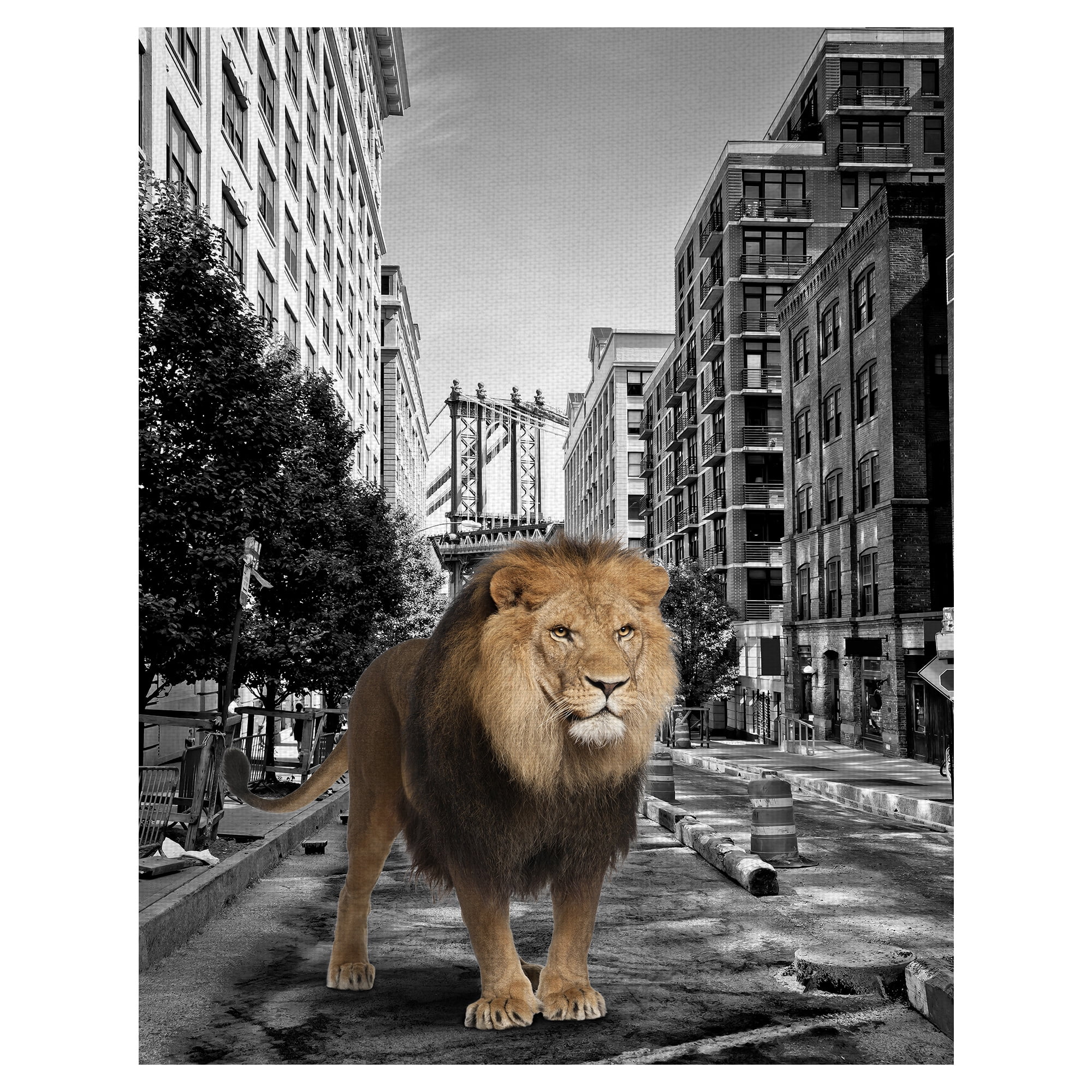 Masterpiece Art Gallery Urban Jungle I Lion By Belle Maison Canvas Art Print 22" x 28"