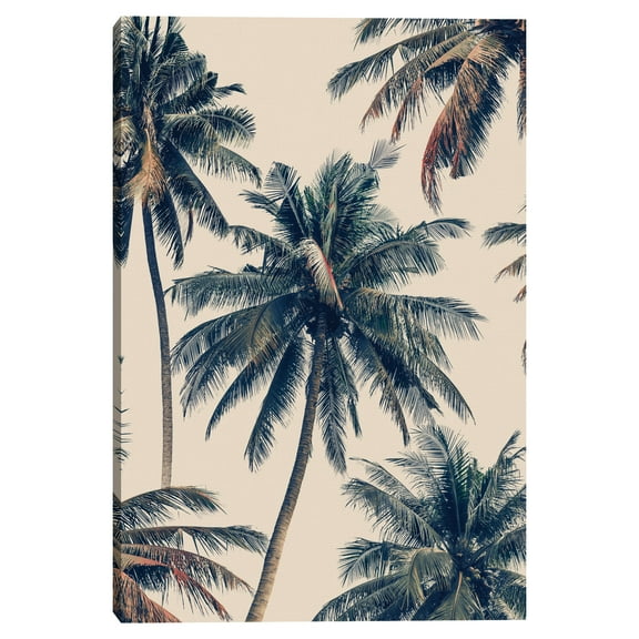 Masterpiece Art Gallery Vintage Palms by Belle Maison Canvas Art Print