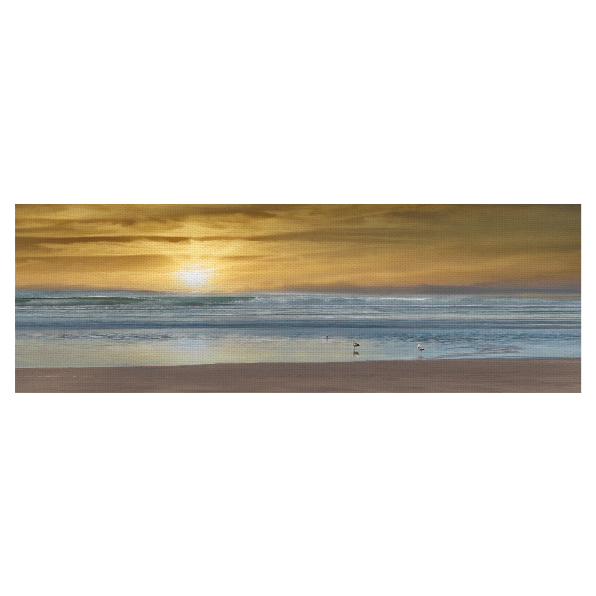 Masterpiece Art Gallery Wading Ocean Birds By Mike Caliscibetta Canvas Art Print 16" x 48"