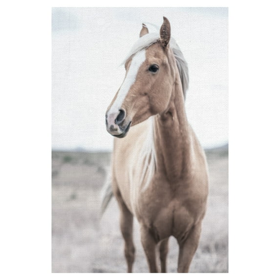 Masterpiece Art Gallery Western Blonde Horse By Chris Dunker Canvas Art Print 24" x 36"