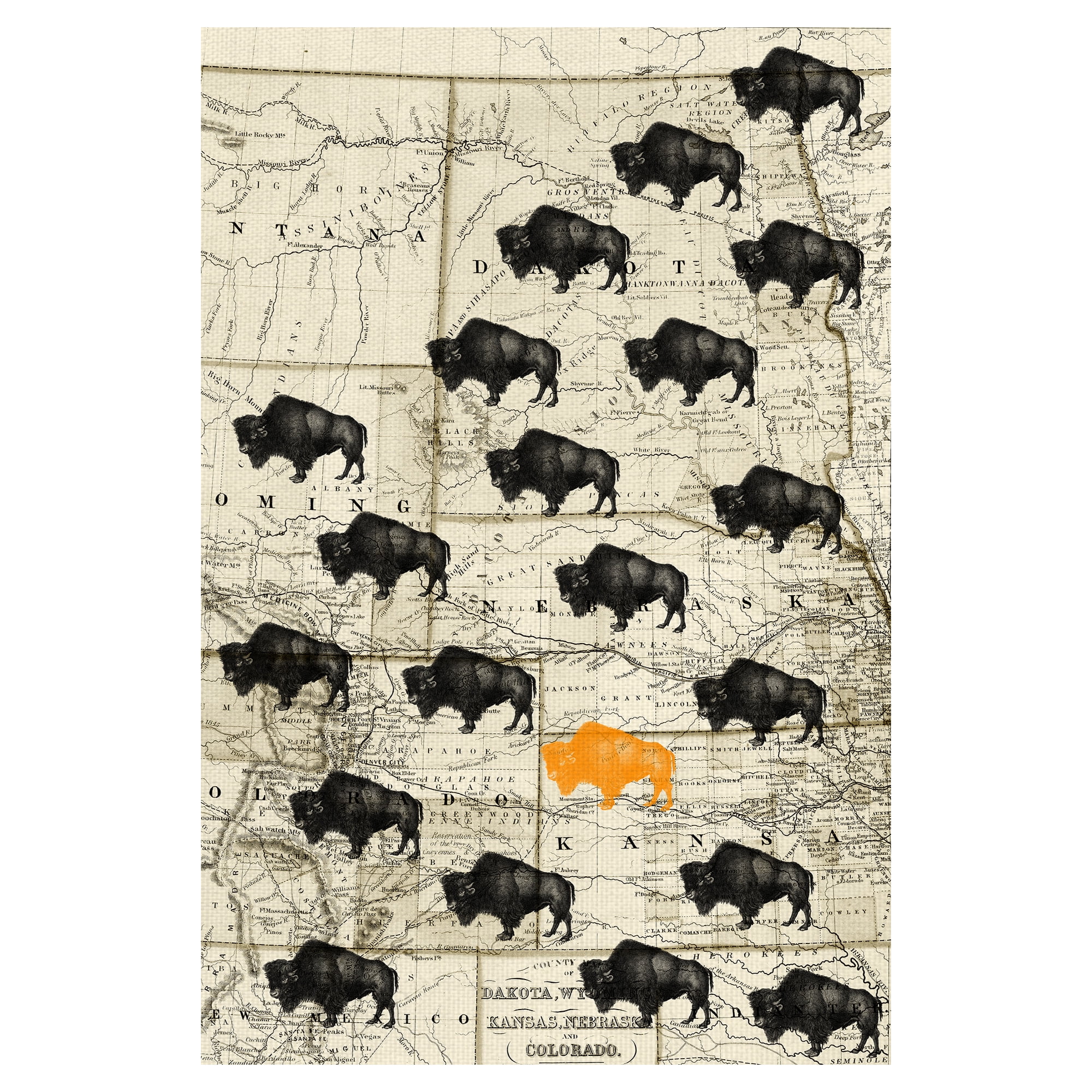 Masterpiece Art Gallery Where The Buffalo Roam Midwest Map By GI ArtLab Canvas Art Print 24" x 36"