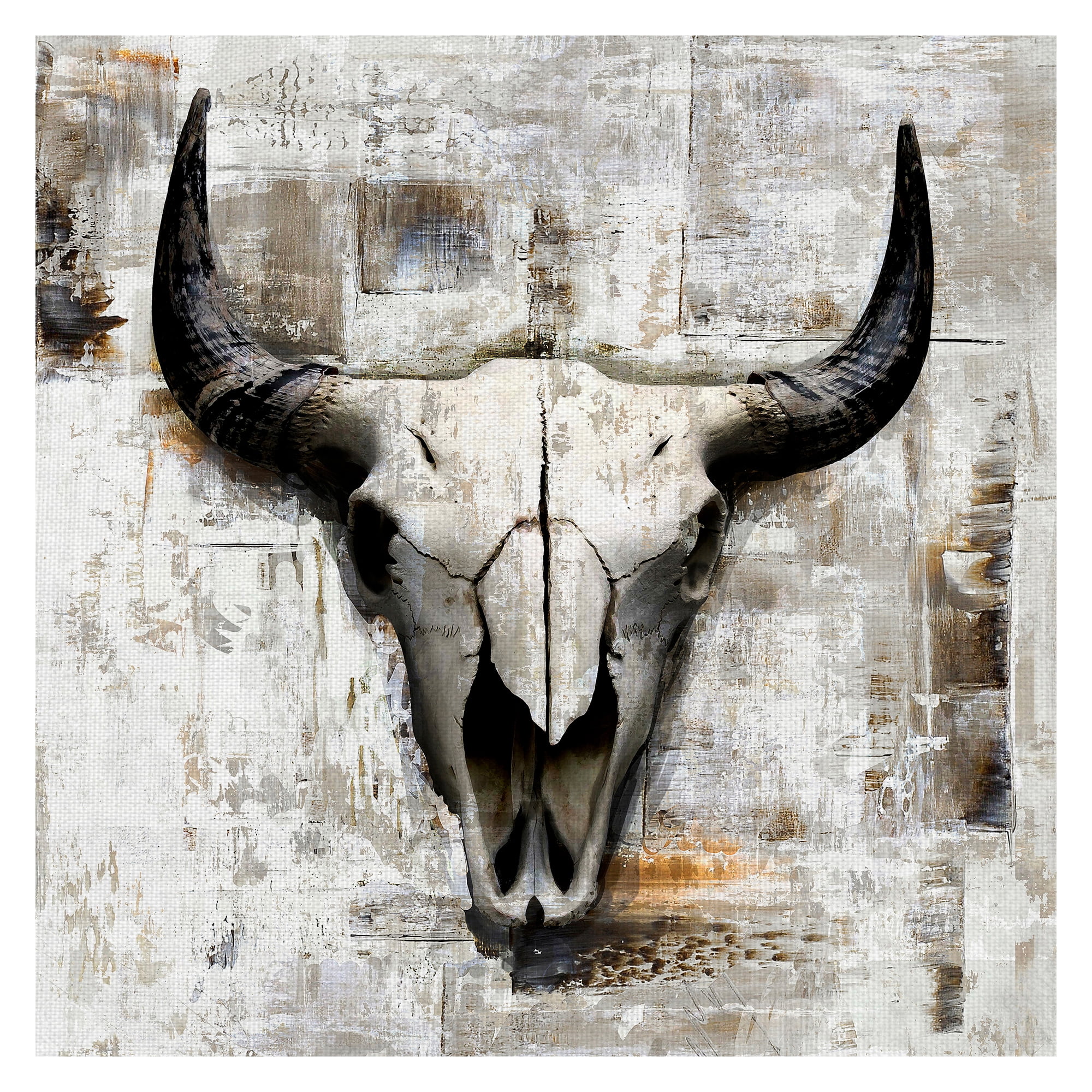 Masterpiece Art Gallery White Cowskull By GraphINC Canvas Art Print 35" x 35"