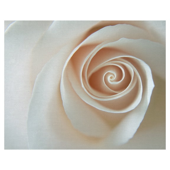 Masterpiece Art Gallery White Rose Swirl By Karen Ussery Canvas Art Print 22" x 28"