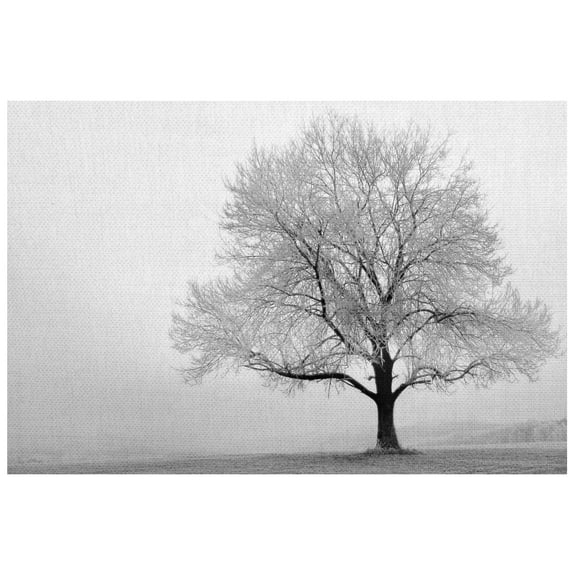 Masterpiece Art Gallery Winter Tree Serenity by Ilona Wellmann Canvas Photo Art Print 22" x 28"
