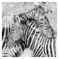 Masterpiece Art Gallery Zebra Pair by Carol Robinson Canvas Art Print 24" x 24"