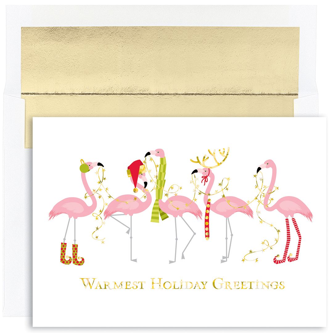 Masterpiece Studios Masterpiece Warmest Wishes 16-Count Christmas Cards, Fashionista Flamingos