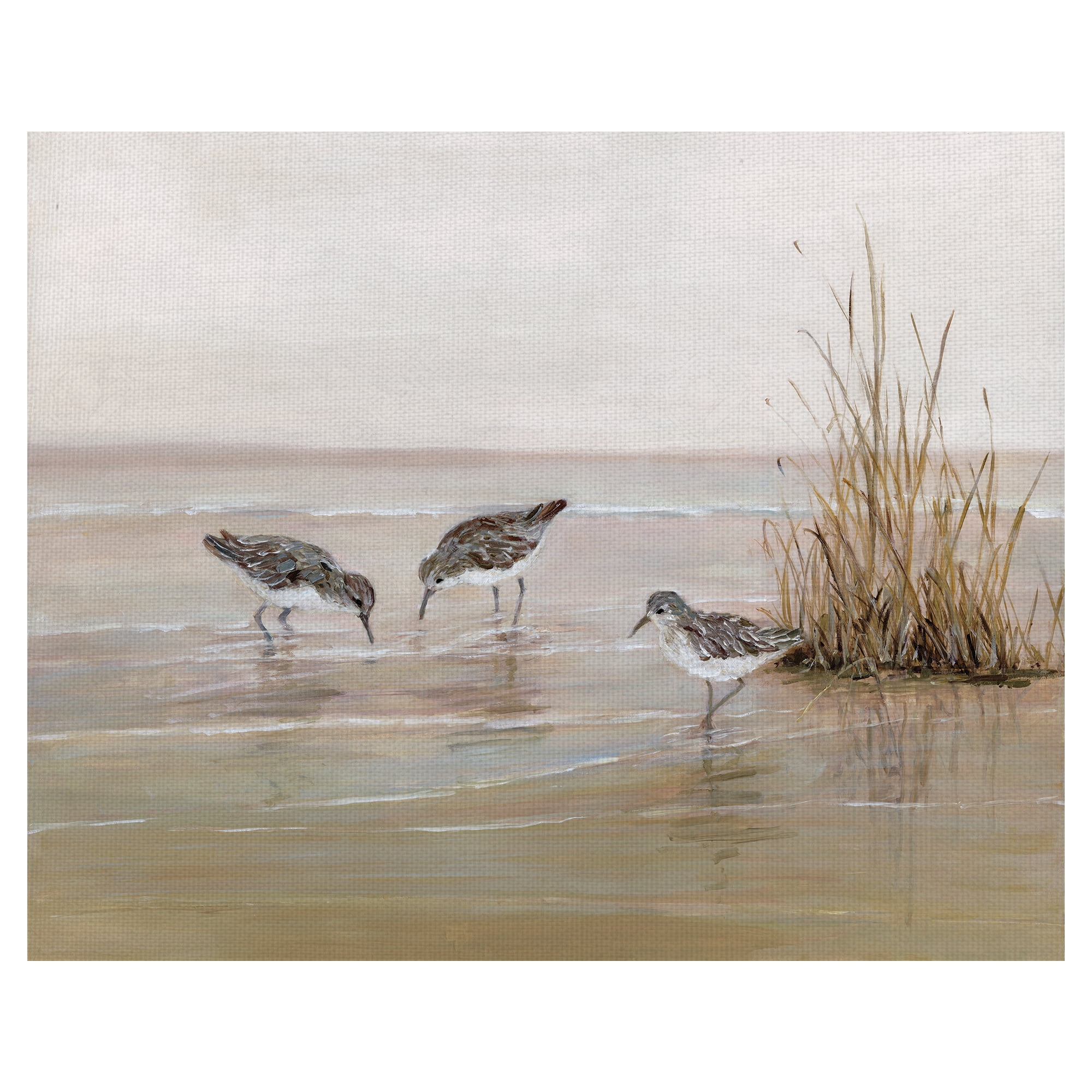 Masterpiece Early Risers II Sandpiper Beach Birds by Sally Swatland Canvas Art Print