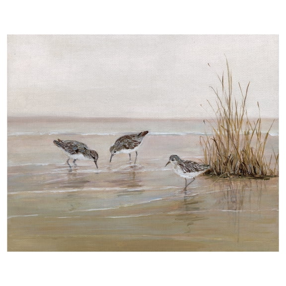 Masterpiece Early Risers II Sandpiper Beach Birds by Sally Swatland Canvas Art Print