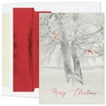 thumbnail image 1 of Masterpiece Studios Holiday Collection Premium 15-Count Boxed Embossed Christmas Cards with Foil-Lined Envelopes, 7.8" x 5.6", Cardinal Tree (978200), 1 of 1