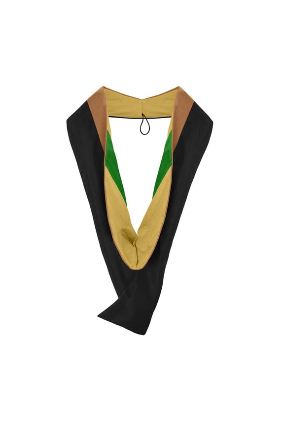 Masters Hood For Business, Accounting, Commerce, Industrial, Labor Relations - Drab/Antique Gold/Green
