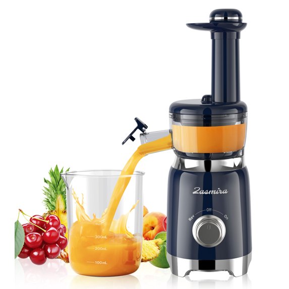 Masticating Juicer for Vegetable and Fruit 100W Cold Press Juicer Machines,