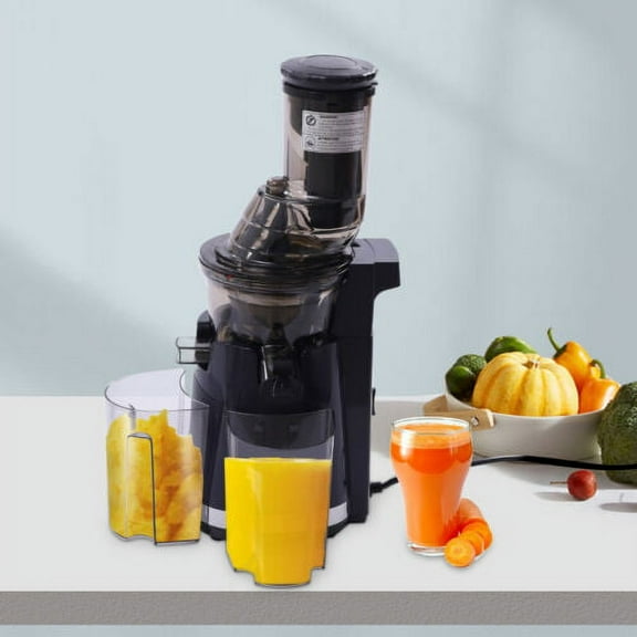 Masticating Slow Speed Juicer Machine 82mm Wide Mouth Squeezing Stainless 250W
