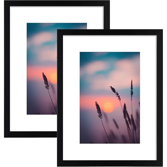 Mat Board Center 12x16 Wood Picture Frames with Mat for 8x12 Photos, Real Glass, Black