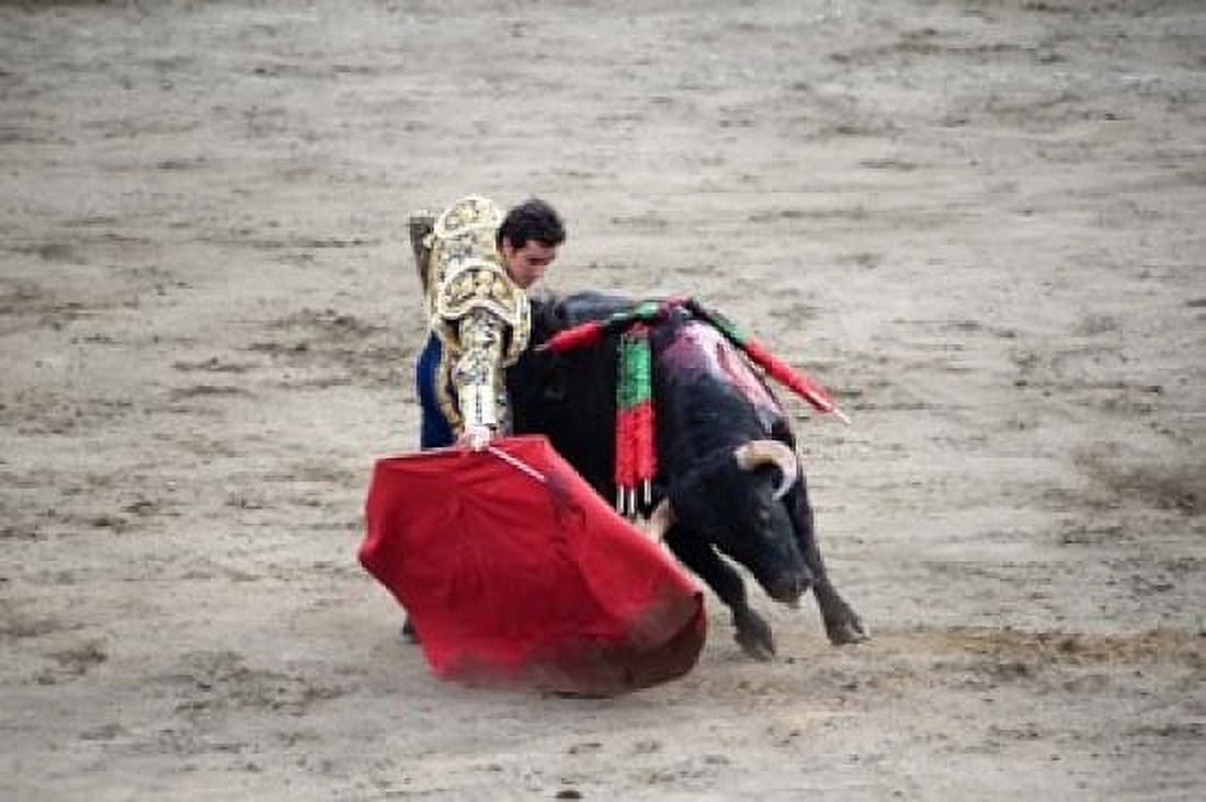 Matador and a bull in a bullring Lima Peru Canvas Art - Panoramic Images (16 x 11)
