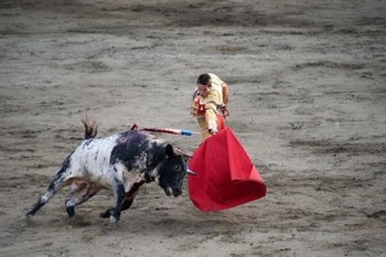 Matador and a bull in a bullring Lima Peru Canvas Art - Panoramic Images (36 x 24)