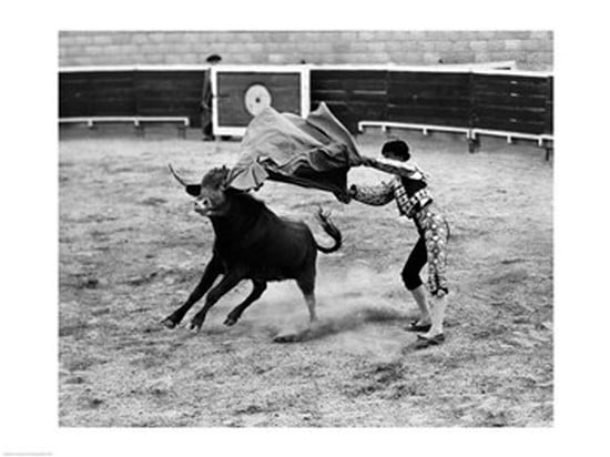 Matador fighting with a bull Canvas Art - (24 x 18)