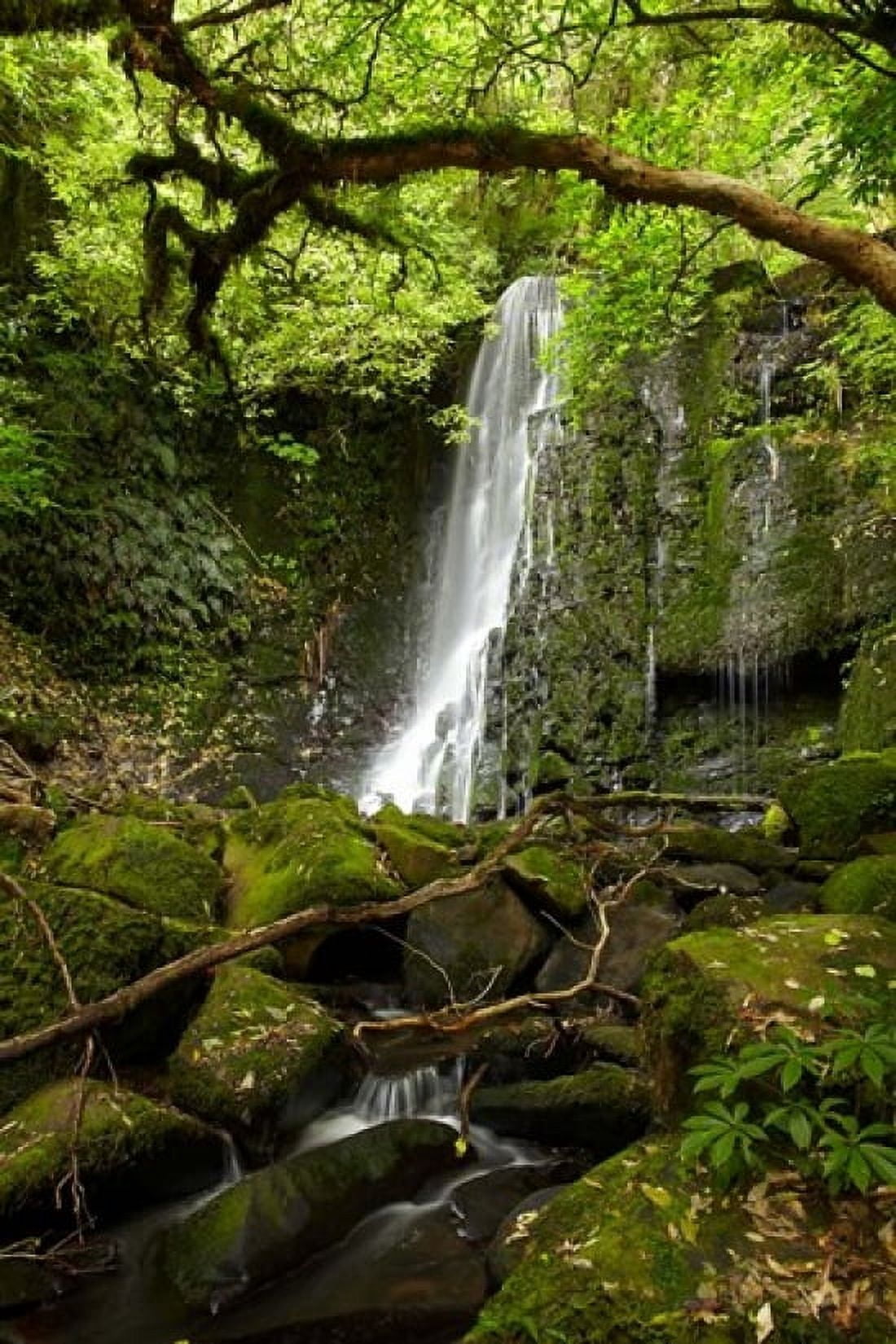 Matai Falls Catlins South Otago South Island New Zealand Canvas Art - David Wall DanitaDelimont (19 x 29)