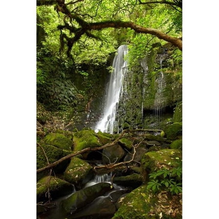 Matai Falls Catlins South Otago South Island New Zealand Poster Print by David Wall - 19 x 29 in.