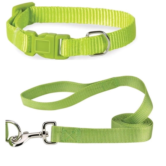 Matching Nylon Dog Collar and Lead Solid Colors 2 Piece Sets Adjustable Durable (xSmall Parrot Green)