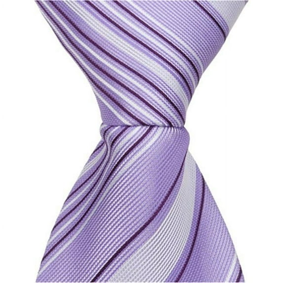 Matching Tie Guy 2528 L3 - 6 in. Newborn Zipper Necktie - Purple With Dark & Light Stripes