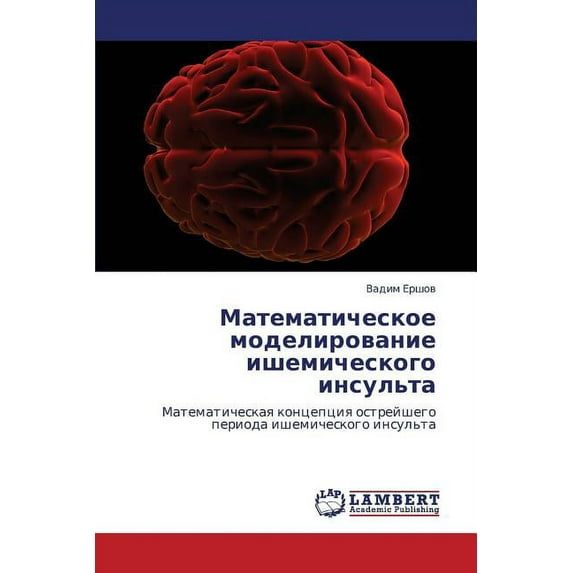 Matematicheskoe Modelirovanie Ishemicheskogo Insul'ta (Paperback)