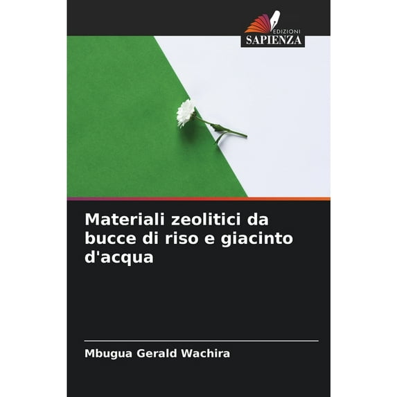 Materiali zeolitici da bucce di riso e giacinto d'acqua (Paperback)