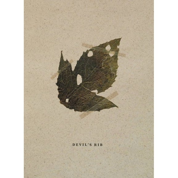 Mateusz Kowalik: Devil's Rib, (Hardcover)