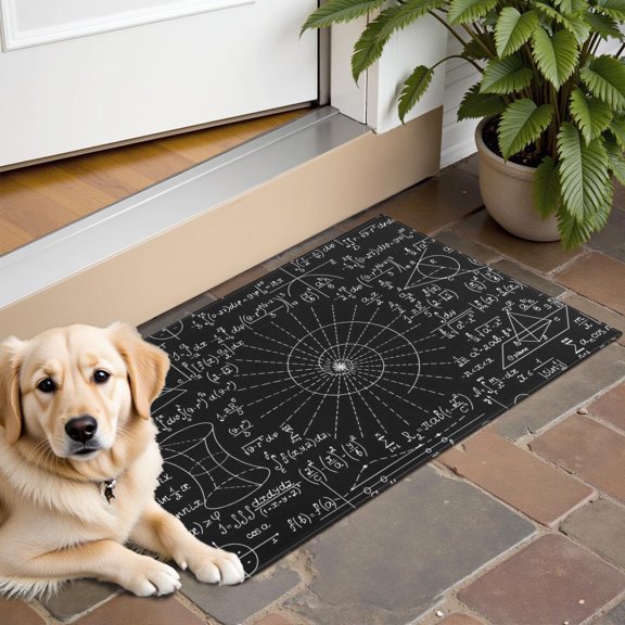 Math Equations Geometry Shapes Black Pattern Door Rugs,Washable Non Slip Door Mats Indoor,Decorative Door Mats,Entry Mat Indoor for Entrance,Bedroom,Kitchen,Bathroom,16"x24"
