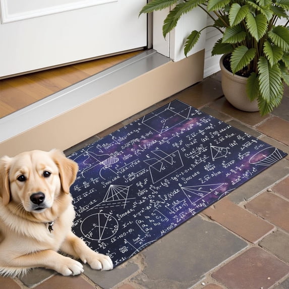 Math Equations Geometry Shapes Purple Pattern Door Rugs,Washable Non Slip Door Mats Indoor,Decorative Door Mats,Entry Mat Indoor for Entrance,Bedroom,Kitchen,Bathroom,16"x24"