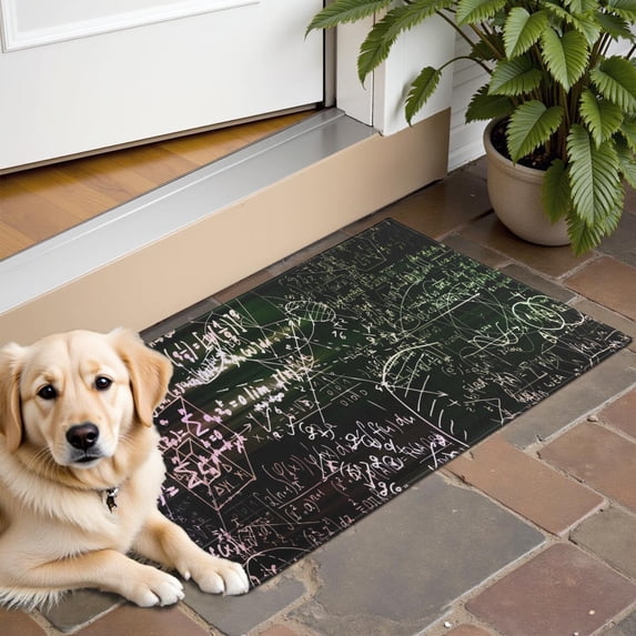 Math Equations Glowing Formulas Black Pattern Door Rugs,Washable Non Slip Door Mats Indoor,Decorative Door Mats,Entry Mat Indoor for Entrance,Bedroom,Kitchen,Bathroom,16"x24"