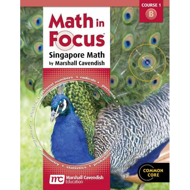 Math In Focus Course 1 For Grade 6 2Nd Semester Homeschool Kit