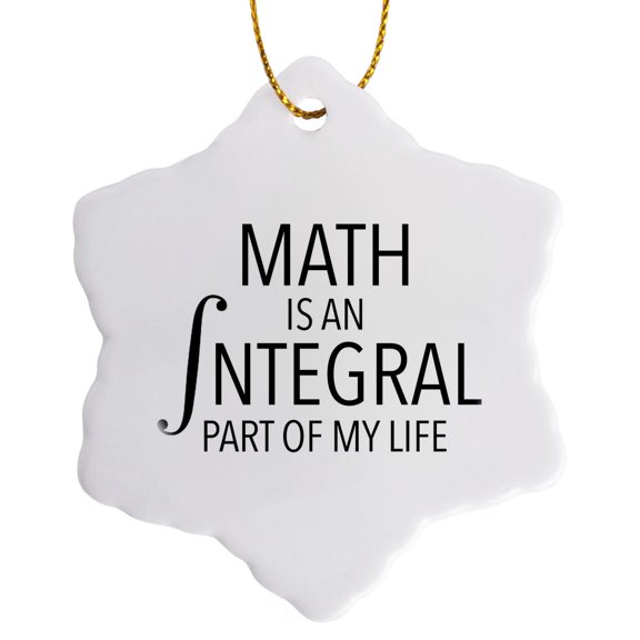 3drose, Math Is an Integral Part of My Life Black, 3 inch Snowflake Porcelain Ornament