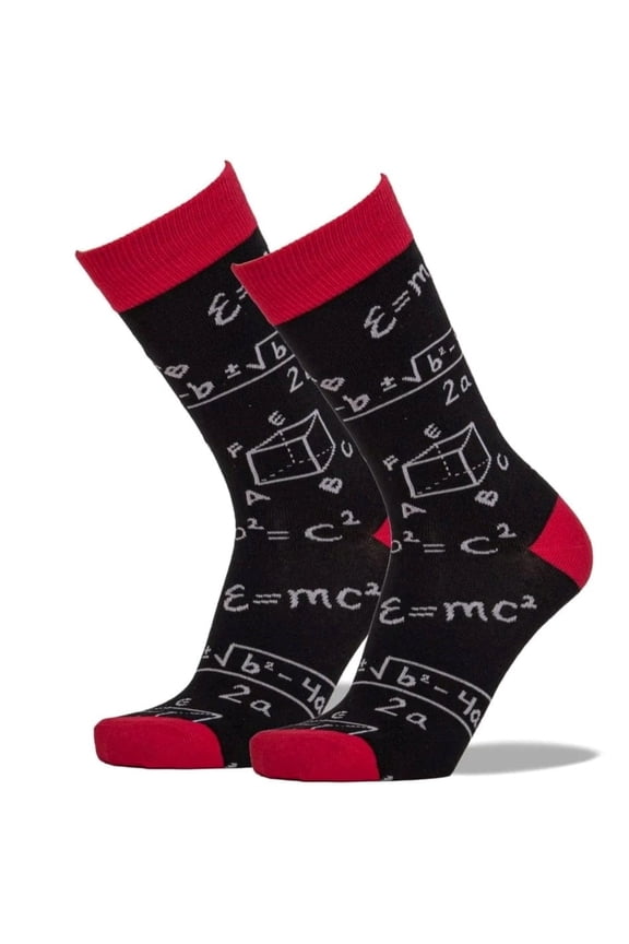 Math Socks from the Sock Panda (Adult Large - Men's Shoe Sizes 8-12)