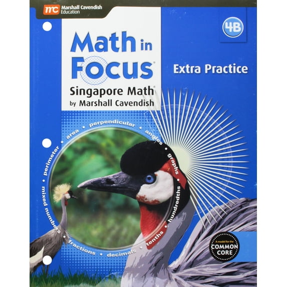 Pre-Owned Math in Focus Extra Practice Blackline Master B Grade 4 (Hmh Math in Focus) Paperback