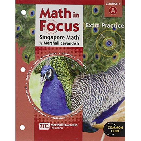 Pre-Owned Math in Focus: Singapore Math Extra Practice Book Grade 6 (Paperback) 0547578962 9780547578965