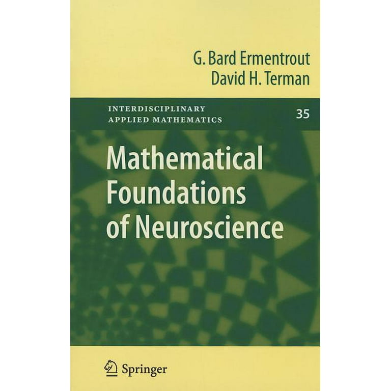 Mathematical Foundations of Neuroscience - Walmart.com