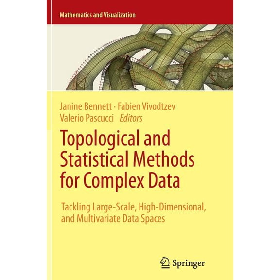 Mathematics and Visualization Topological and Statistical Methods for Complex Data: Tackling Large-Scale, High-Dimensional, and Multivariate Data Spac, (Paperback)