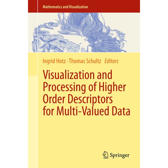 Mathematics and Visualization Visualization and Processing of Higher Order Descriptors for Multi-Valued Data, (Hardcover)