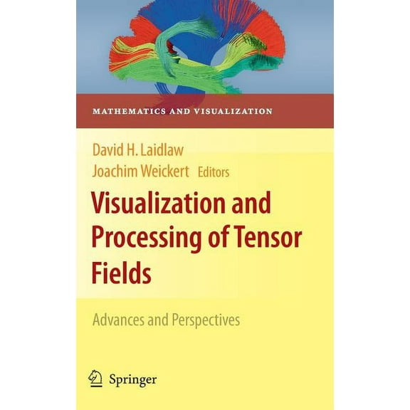 Mathematics and Visualization Visualization and Processing of Tensor Fields: Advances and Perspectives, (Hardcover)