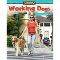 thumbnail image 1 of Amazing Animals: Working Dogs: Summarizing Data (Grade 6), 1 of 1