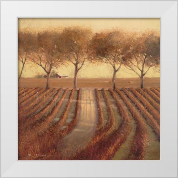 Mathenia, Paul 12x12 White Modern Wood Framed Museum Art Print Titled - Vintage Sunlit Vineyard
