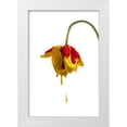 thumbnail image 1 of Mathiesen, Kent 13x18 White Modern Wood Framed Museum Art Print Titled - Crying Flower, 1 of 4