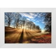 thumbnail image 1 of Mathiesen, Kent 32x23 White Modern Wood Framed Museum Art Print Titled - Mill Of Shadows, 1 of 4