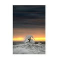 thumbnail image 1 of Mathieu Rivrin 'Alone' Canvas Art, 1 of 1