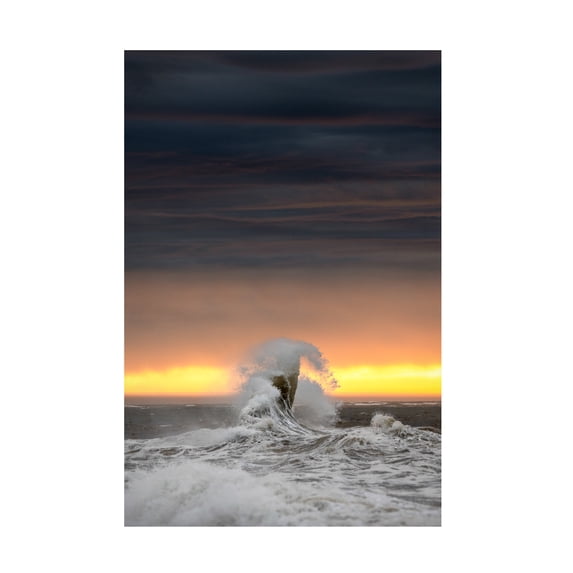 Mathieu Rivrin 'Alone' Canvas Art