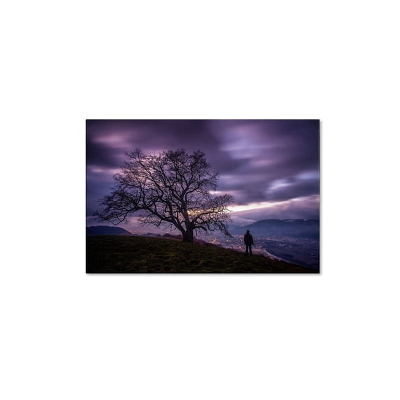 Mathieu Rivrin 'The Tree of Love Grenoble' Canvas Art