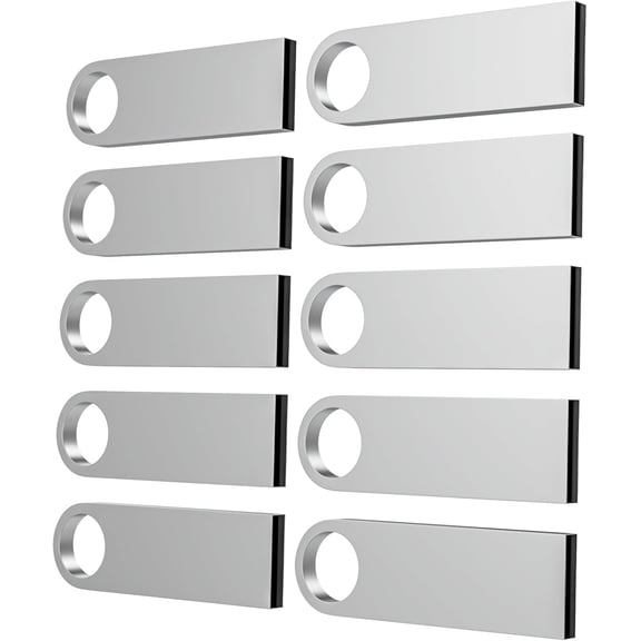 Mathiso 2GB USB 2.0 Metal Key Chain, 10 Pack