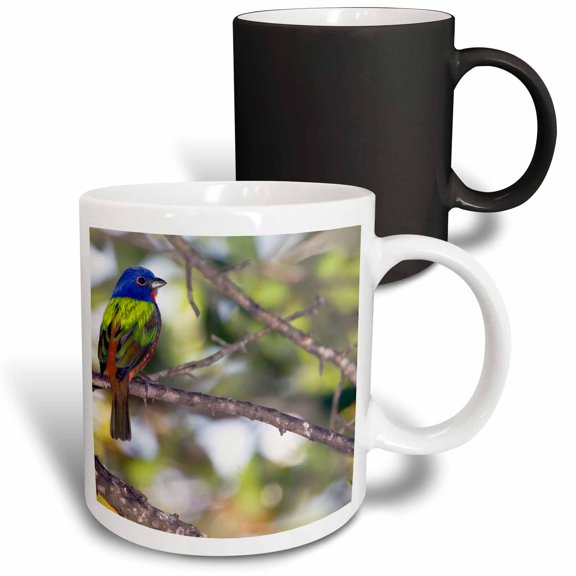 3drose, Mating Pair of Painted Bunting Birds - Us10 Bfr0062 - Bernard Friel, 11oz Magic Transforming Mug
