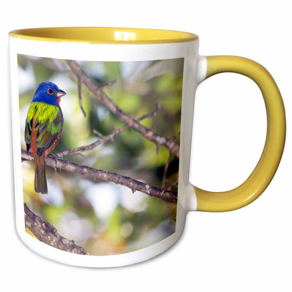 3drose, Mating Pair of Painted Bunting Birds - Us10 Bfr0062 - Bernard Friel, 11oz Two-tone Yellow Mug