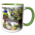 thumbnail image 1 of 3drose, Mating Pair of Painted Bunting Birds - Us10 Bfr0062 - Bernard Friel, 15oz Two-tone Green Mug, 1 of 6